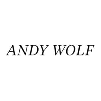 visionology-andy-wolf-logo-black